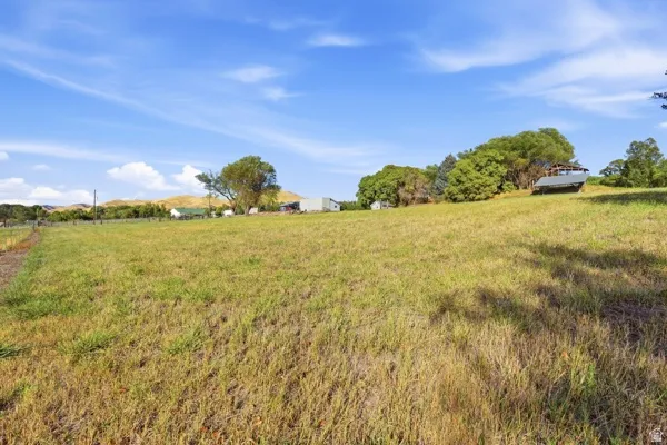 Expansive open field with natural grass, mature trees, and distant hills