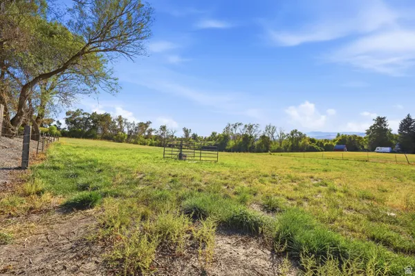 Expansive grassy field with a treelined border and a clear sky