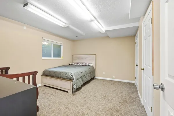 Carpeted room with a single window and neutral wall tones