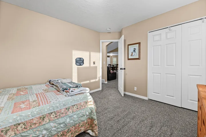 Plush carpet flooring, neutral wall tones, white trim, and a white bi-fold closet door