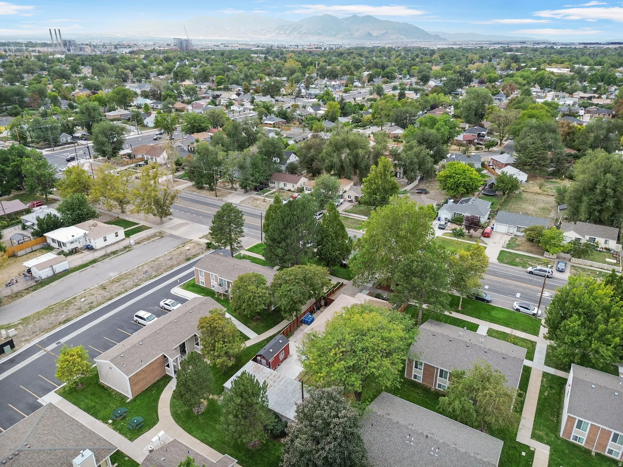 Residential neighborhood with expansive trees and mountain backdrop