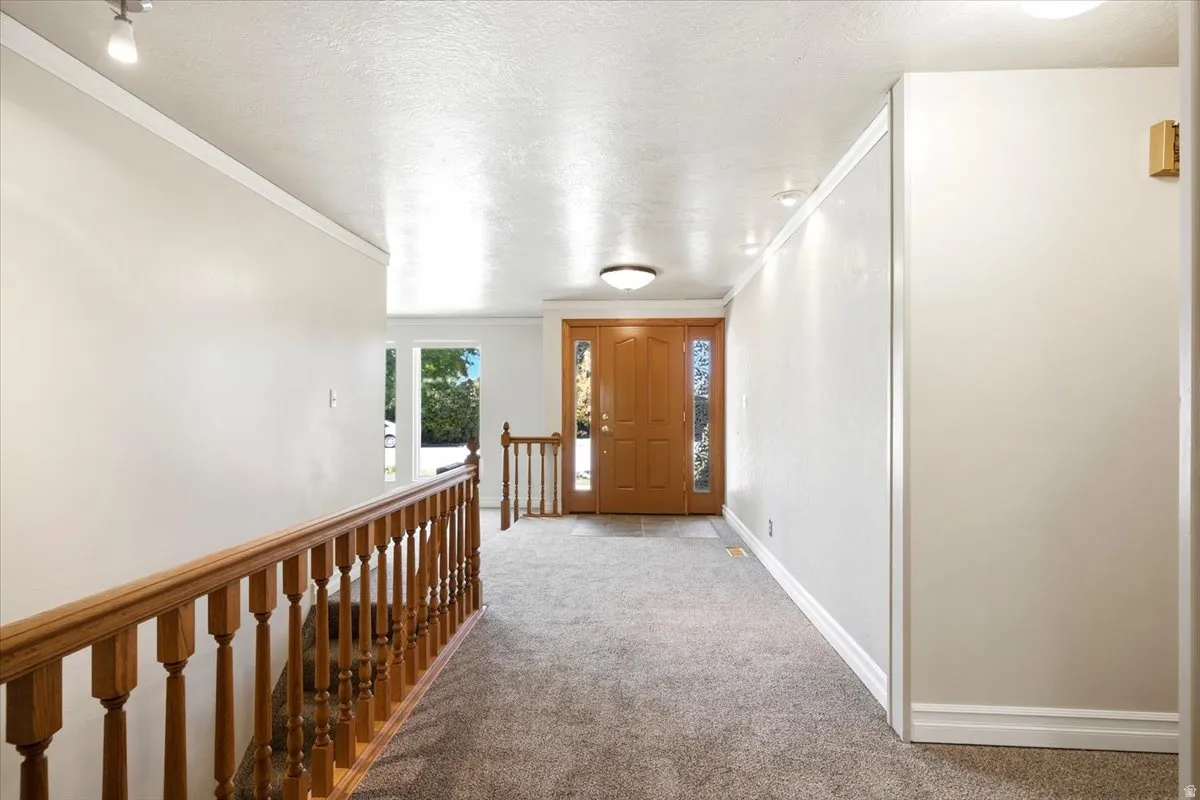Entryway featuring a wood-panel door with sidelight windows, built-in overhead lighting, and carpeted flooring