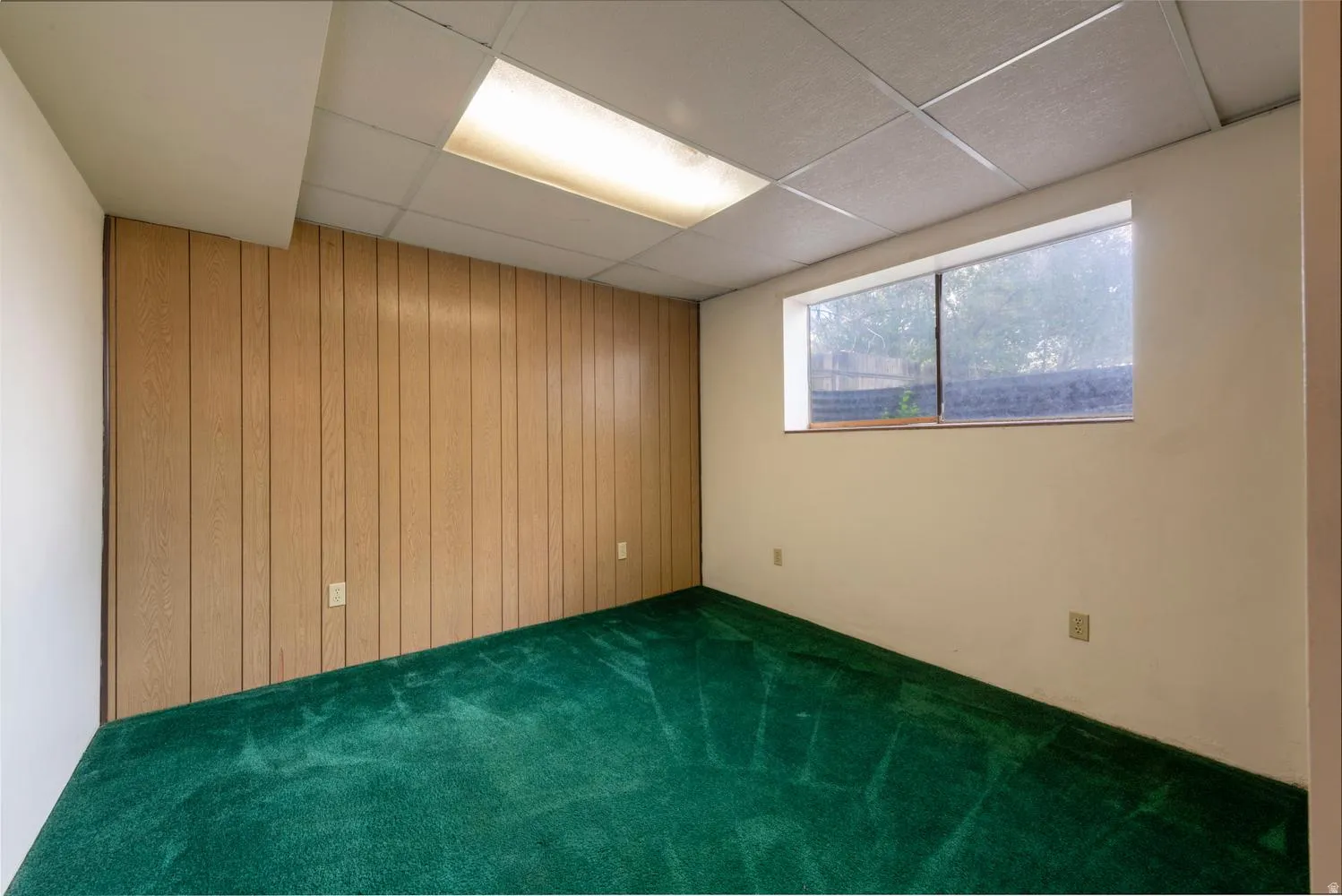 Wood-panel accent wall and drop ceiling with recessed lighting