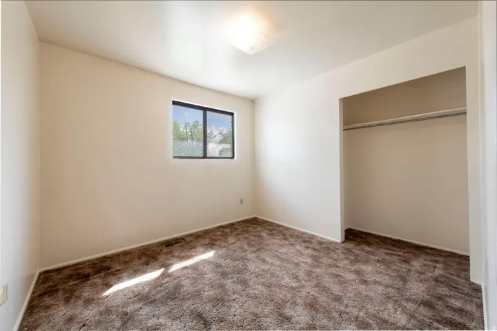 Neutral wall paint with textured carpet flooring, a single window, and an integrated closet with a hanging rod