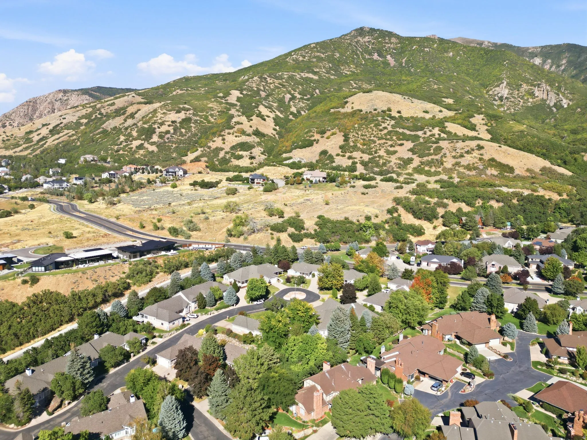 Expansive mountain backdrop with a residential community featuring mature trees and established landscaping