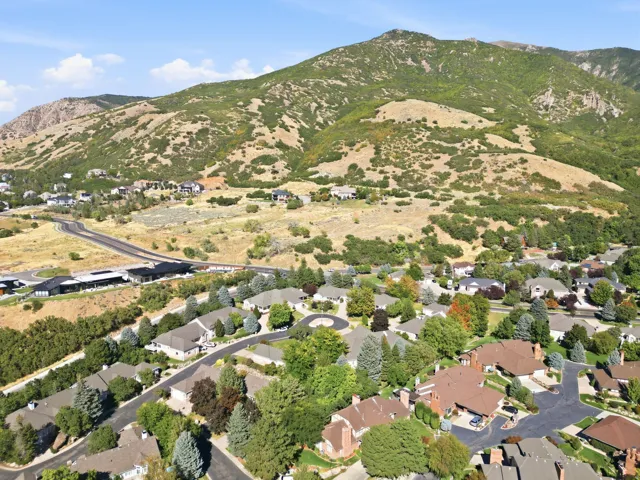 Expansive mountain backdrop with a residential community featuring mature trees and established landscaping