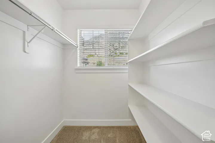 Walk-in closet featuring built-in shelving, hanging rod, window with blinds, and carpet flooring