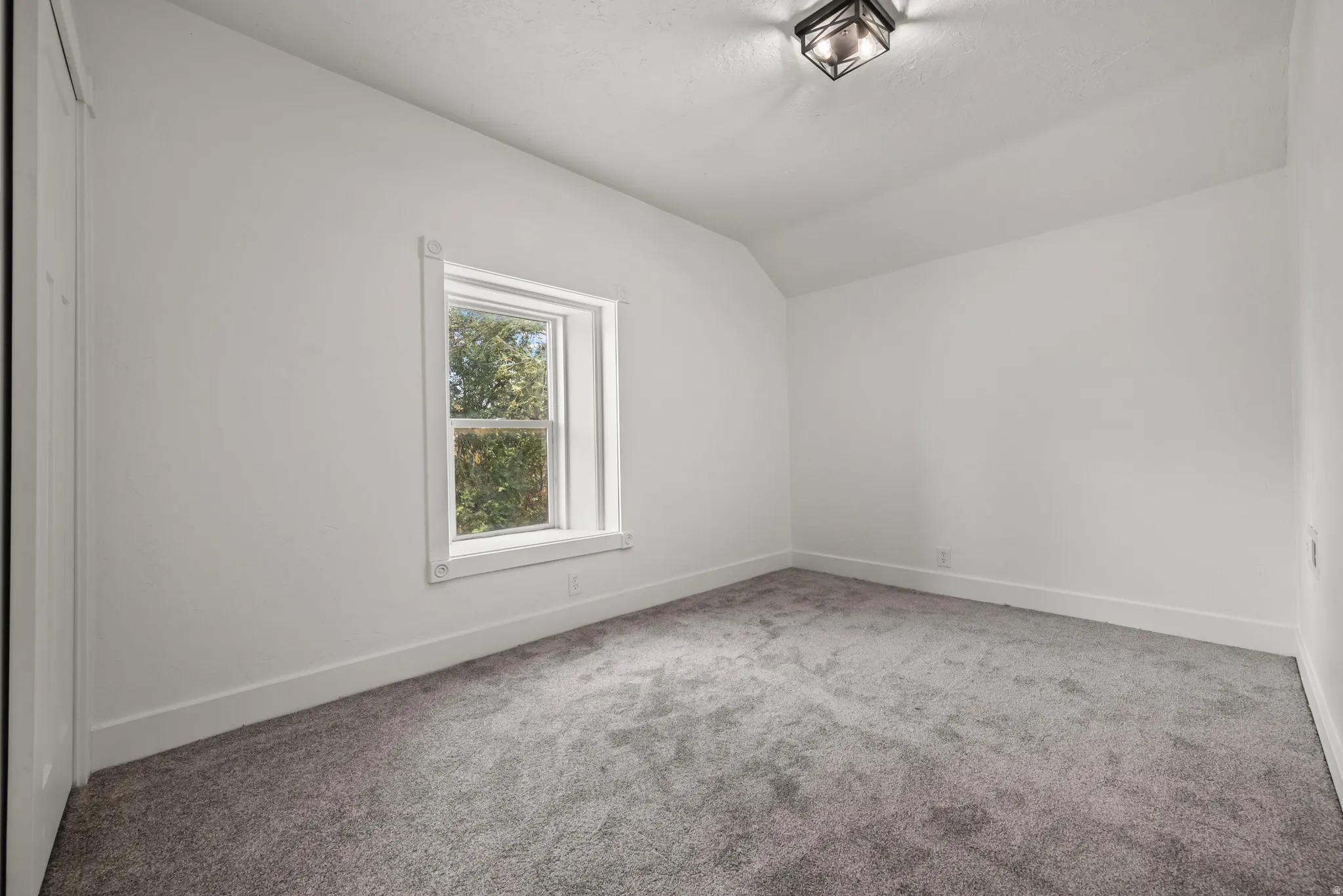 Neutral wall color with plush gray carpet