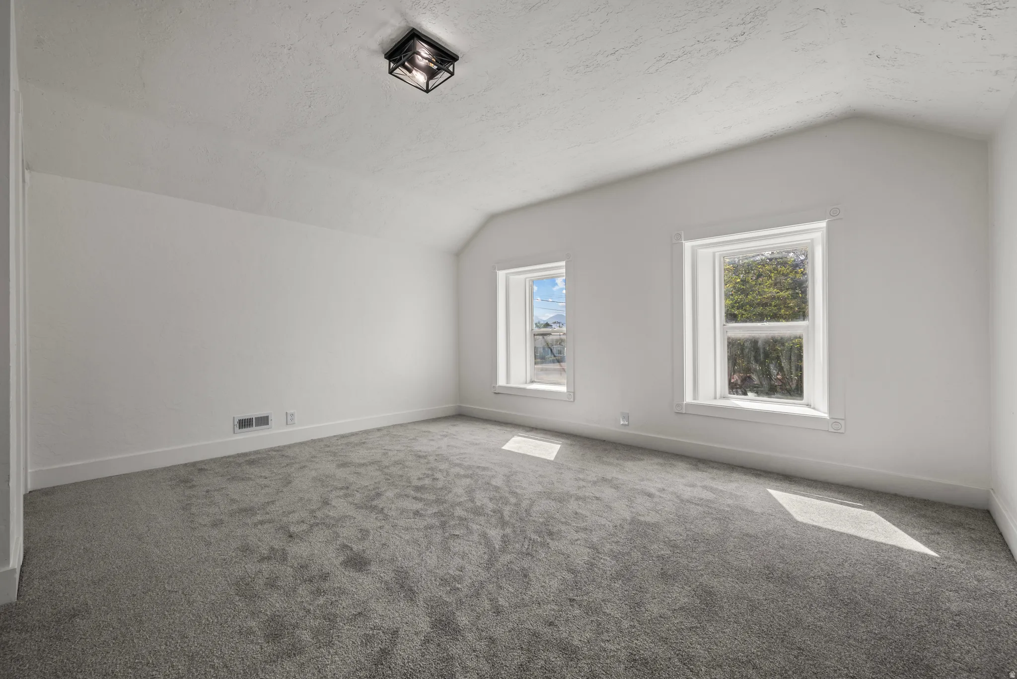 Light gray wall-to-wall carpeting, white painted walls, two double-hung windows, and a black flush-mount ceiling light fixture