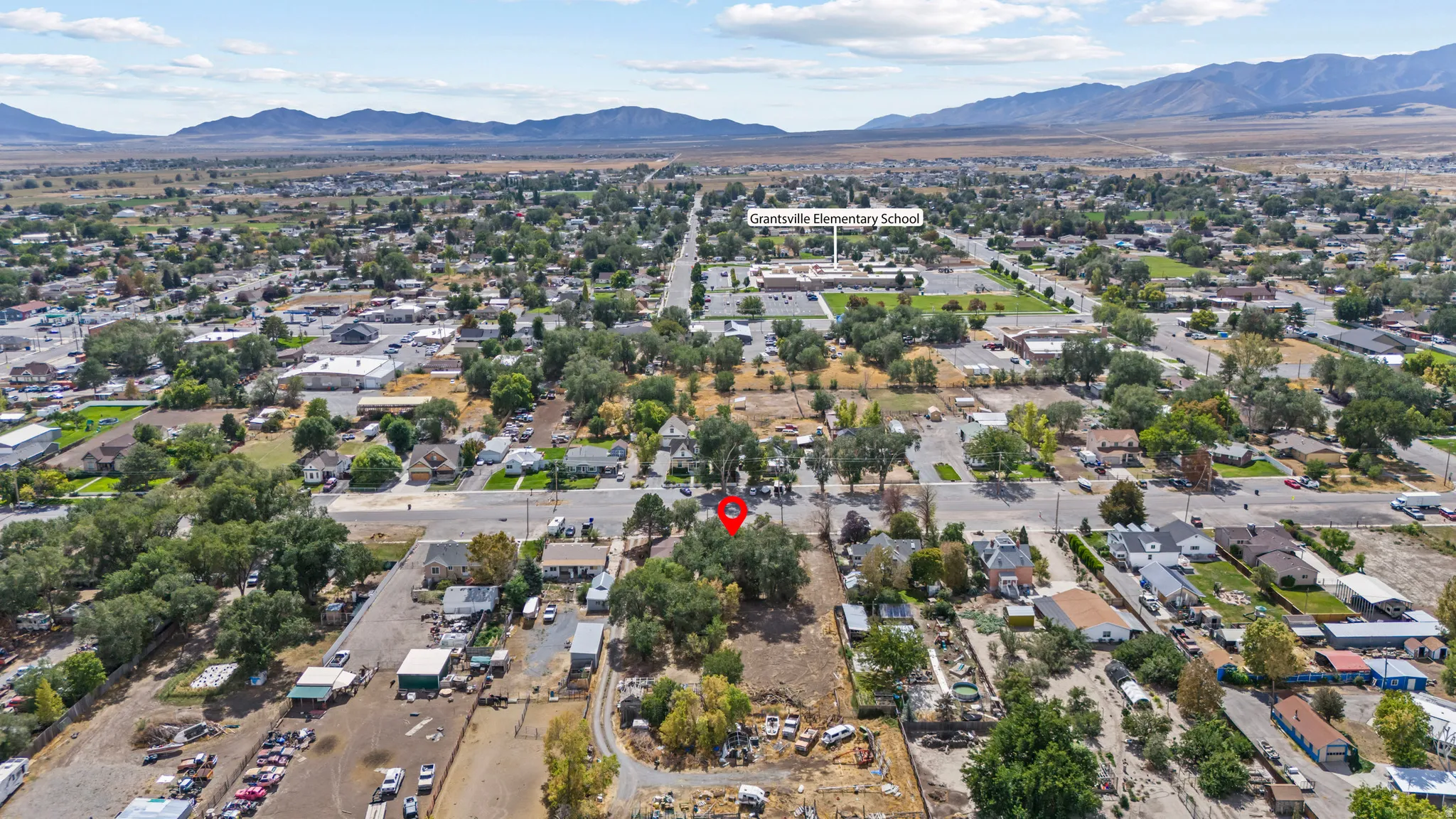 Aerial perspective showcasing a broad street network and extensive tree coverage within the neighborhood