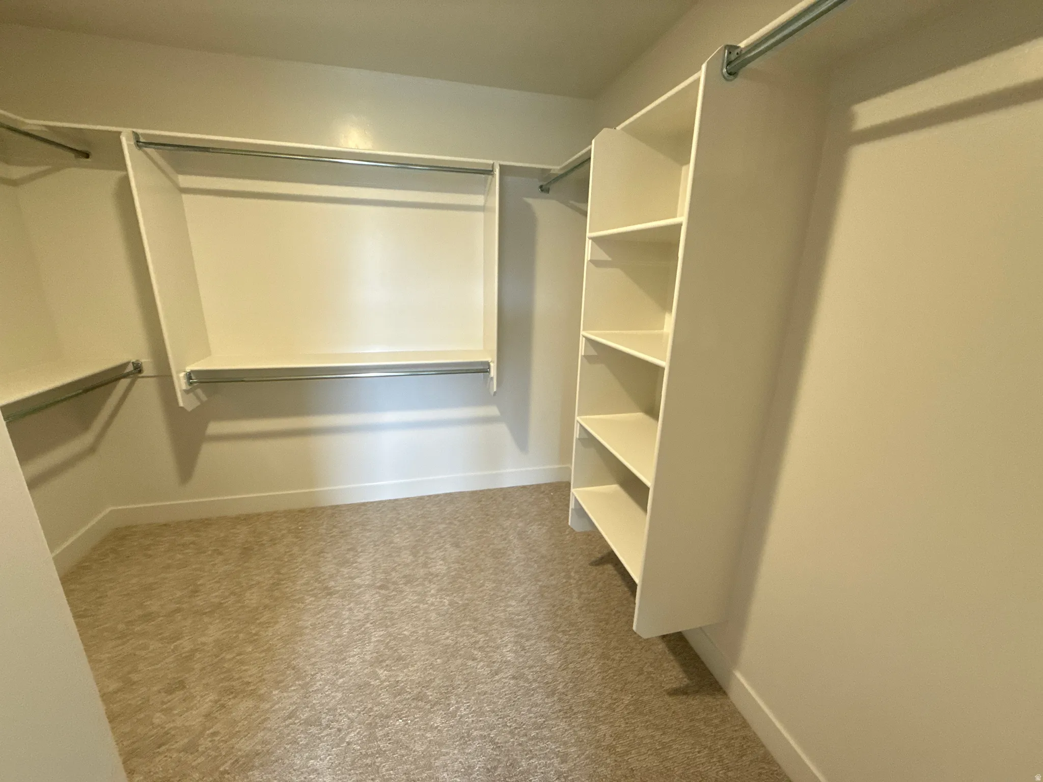 Built-in shelving, hanging rods, and carpeting