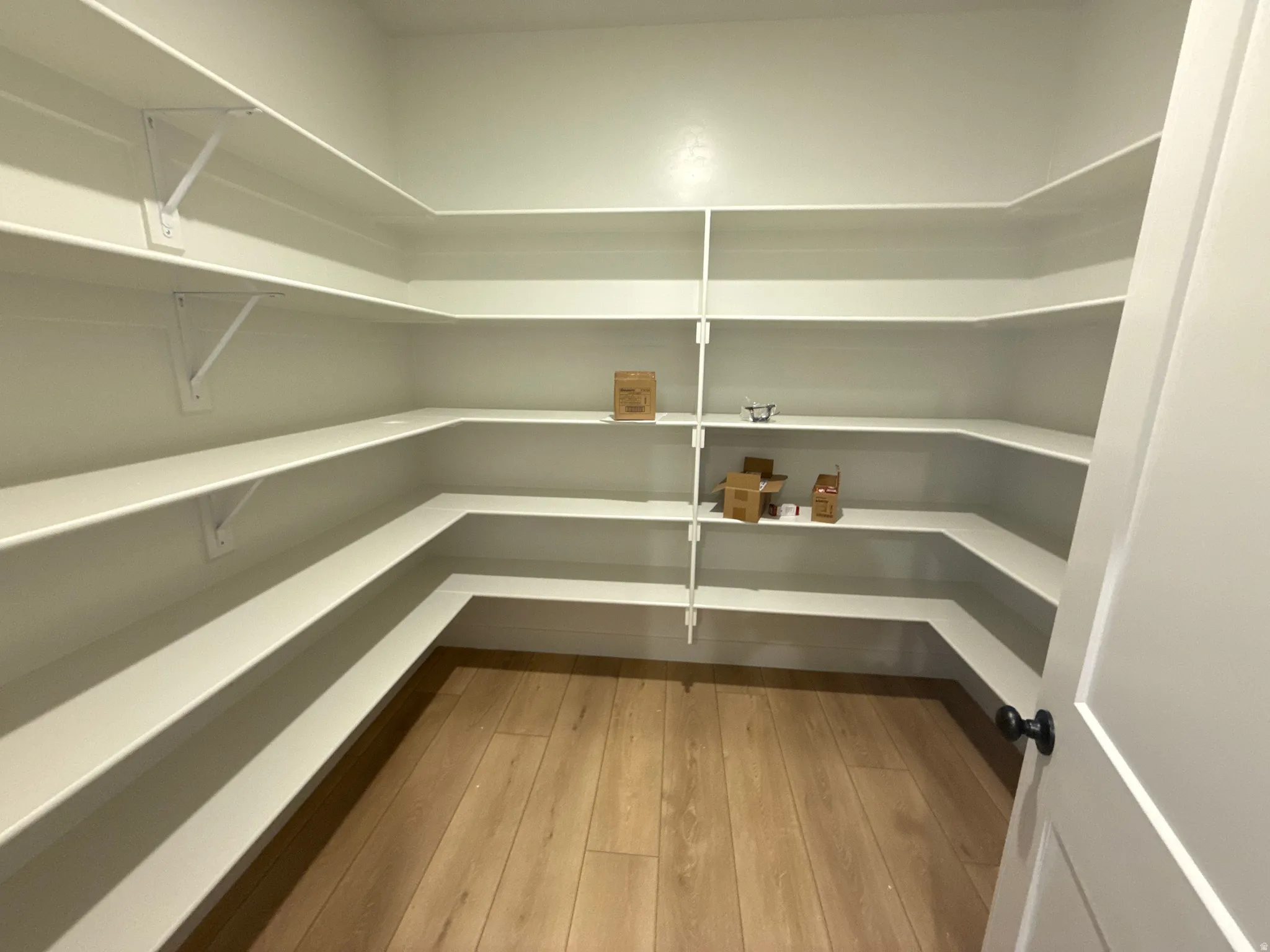Walk-in pantry featuring extensive built-in shelving, wood-finish flooring, and a solid panel door