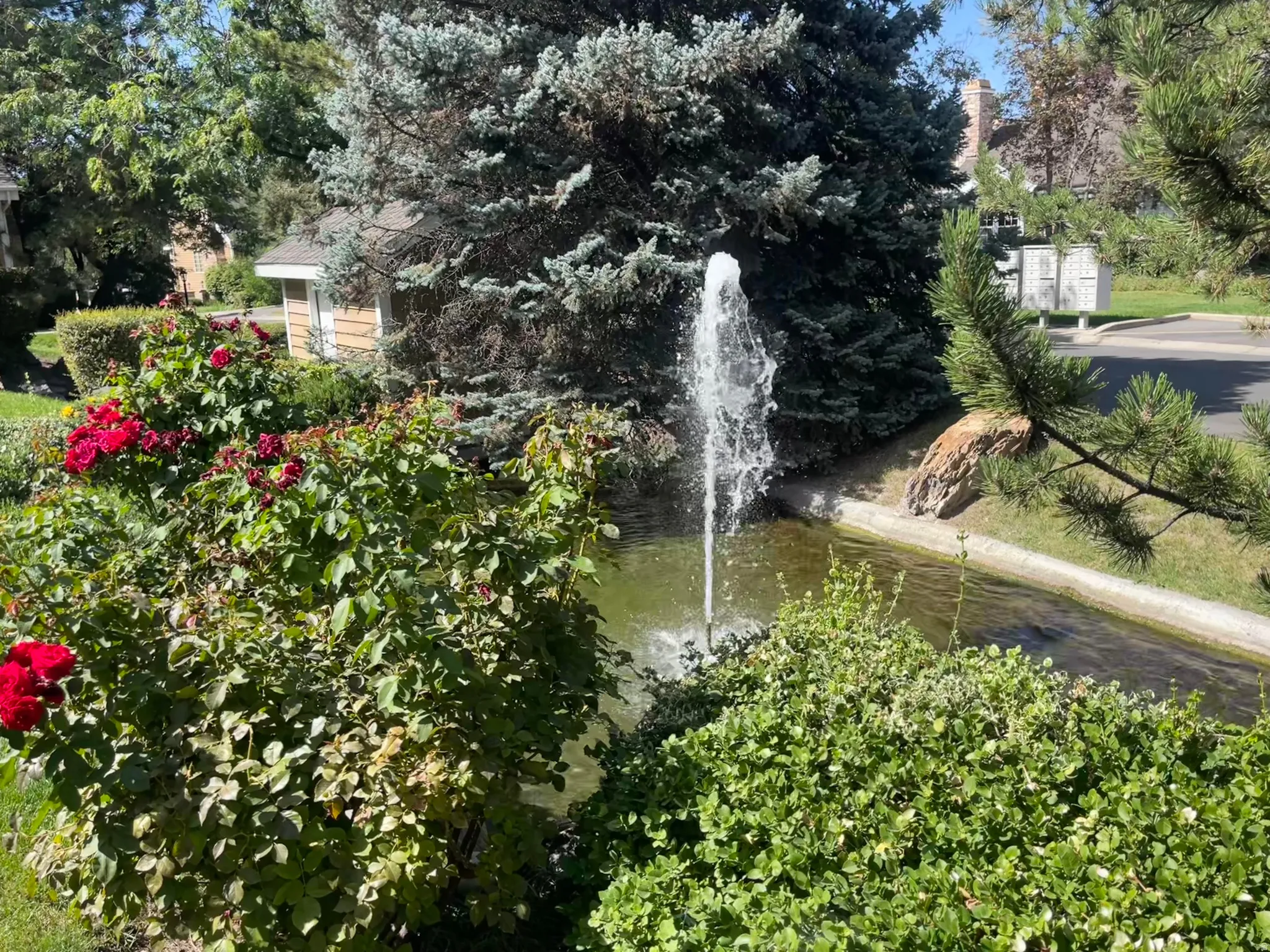 Landscaped grounds featuring a water fountain, mature evergreen trees, ornamental shrubs, and flowering bushes