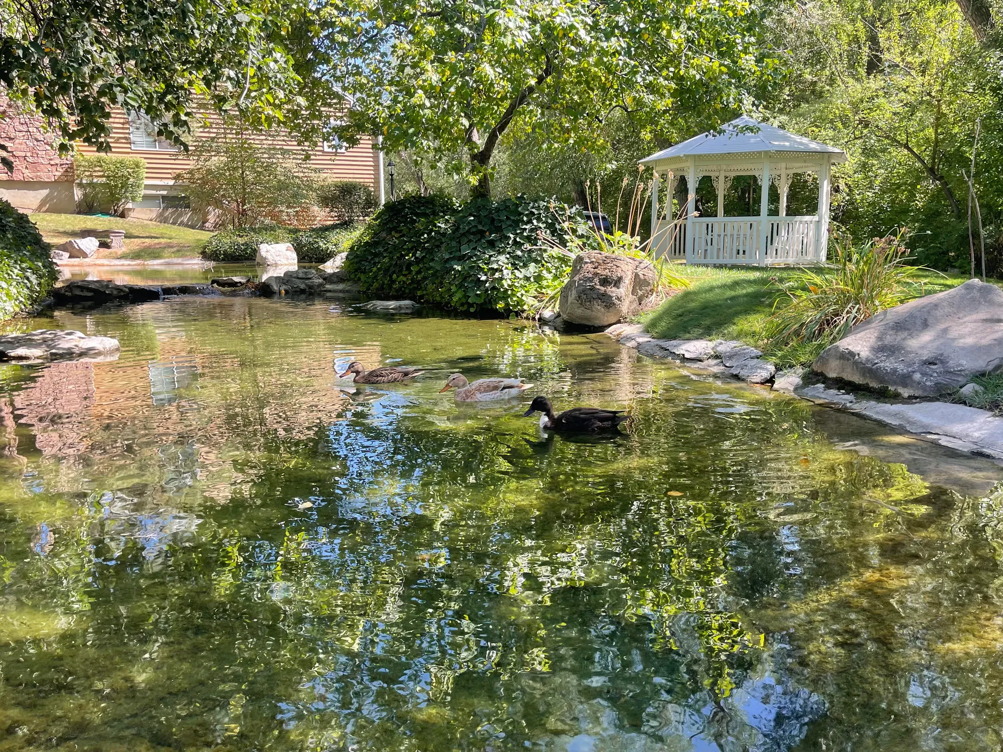 Landscaped pond with a white gazebo, surrounded by mature trees and natural rock formations