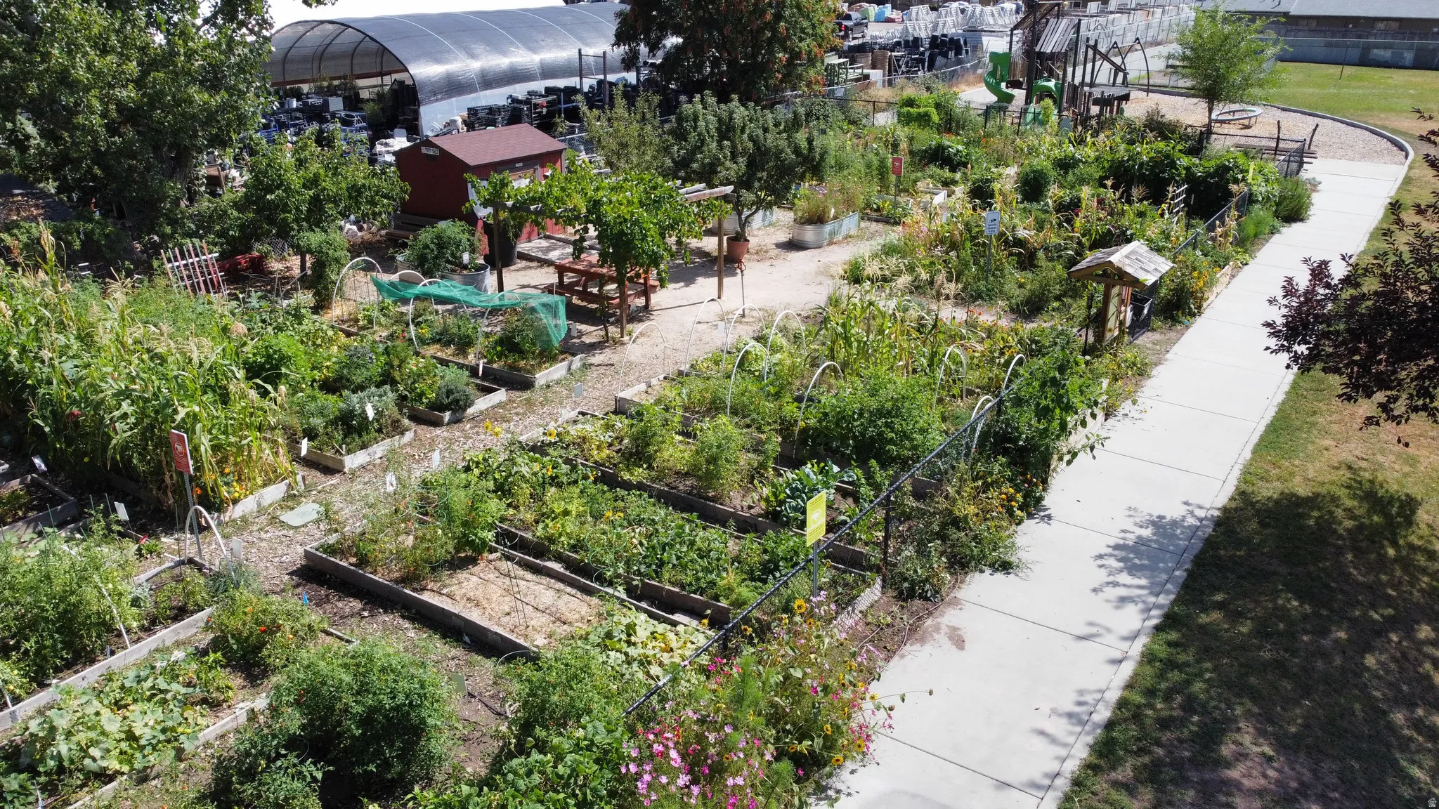 Community garden next to  Scott Avenue Park with multiple planted beds, gravel pathways