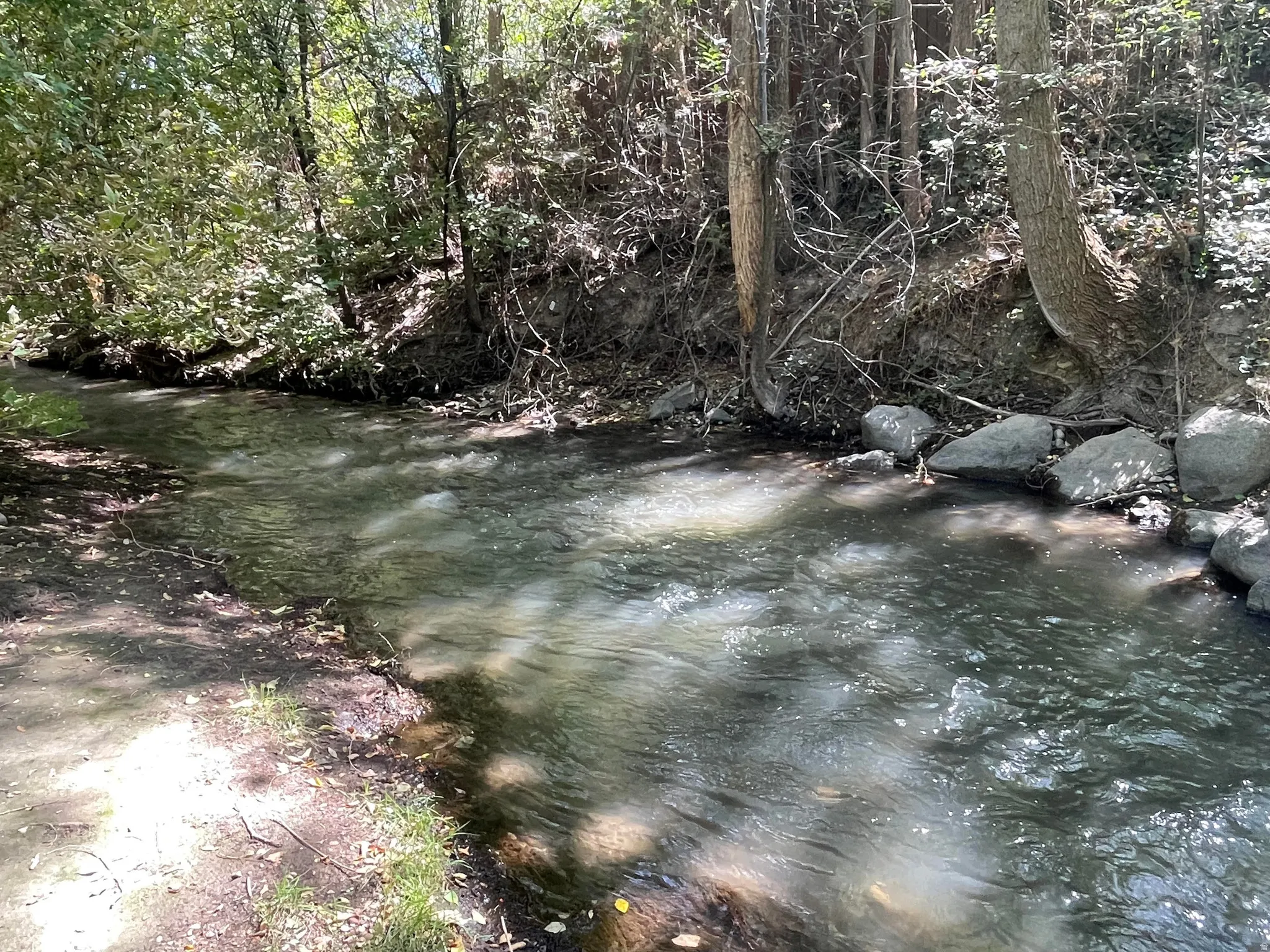 Mill Creek runs right through the community.