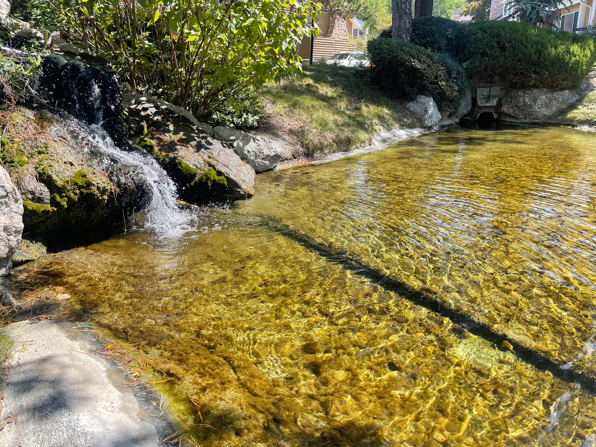 Right by front door of home -  water feature with a waterfall, natural rock formations, surrounding greenery, and a clear pond