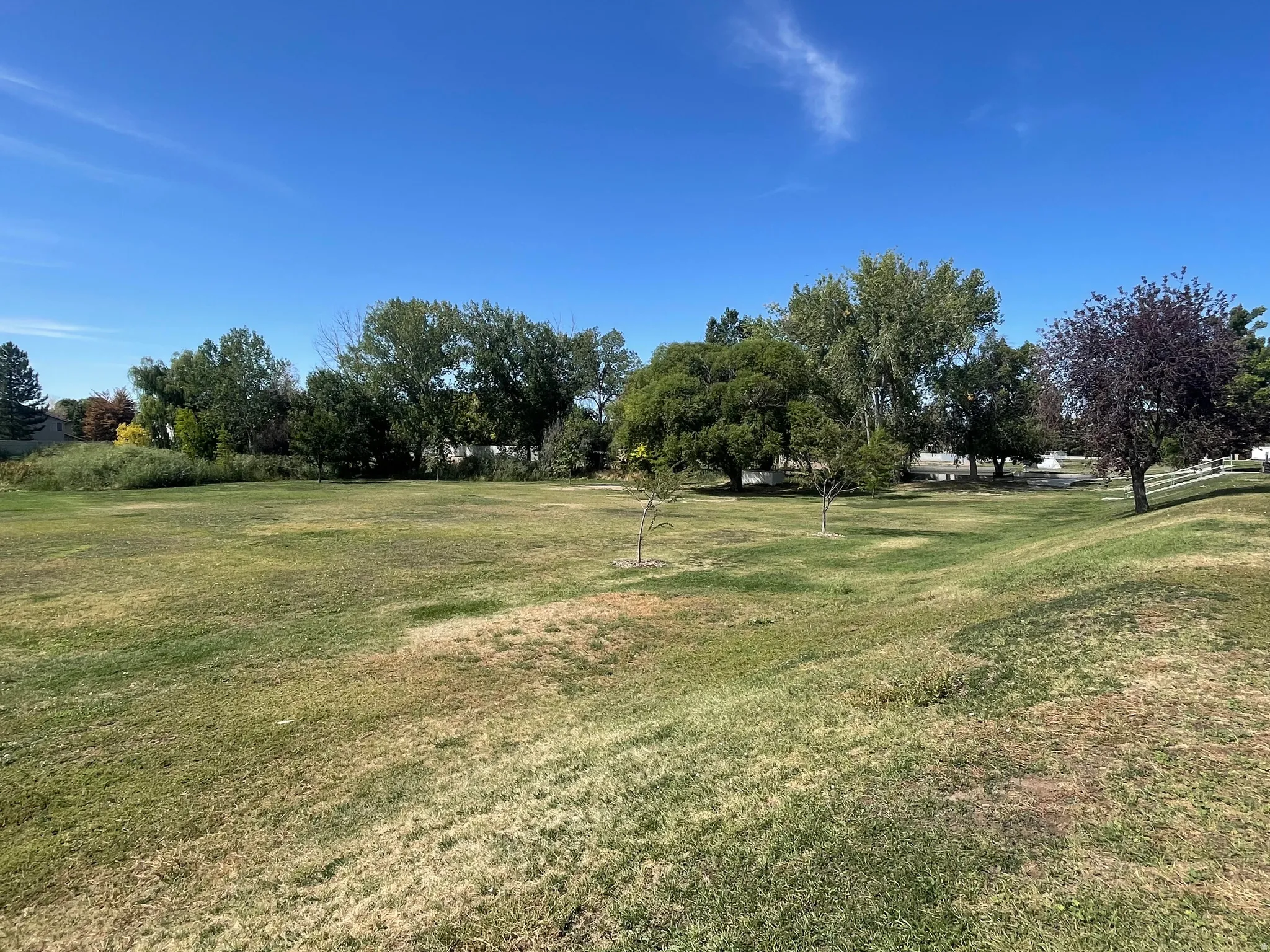 Neighboring Scott Avenue Park