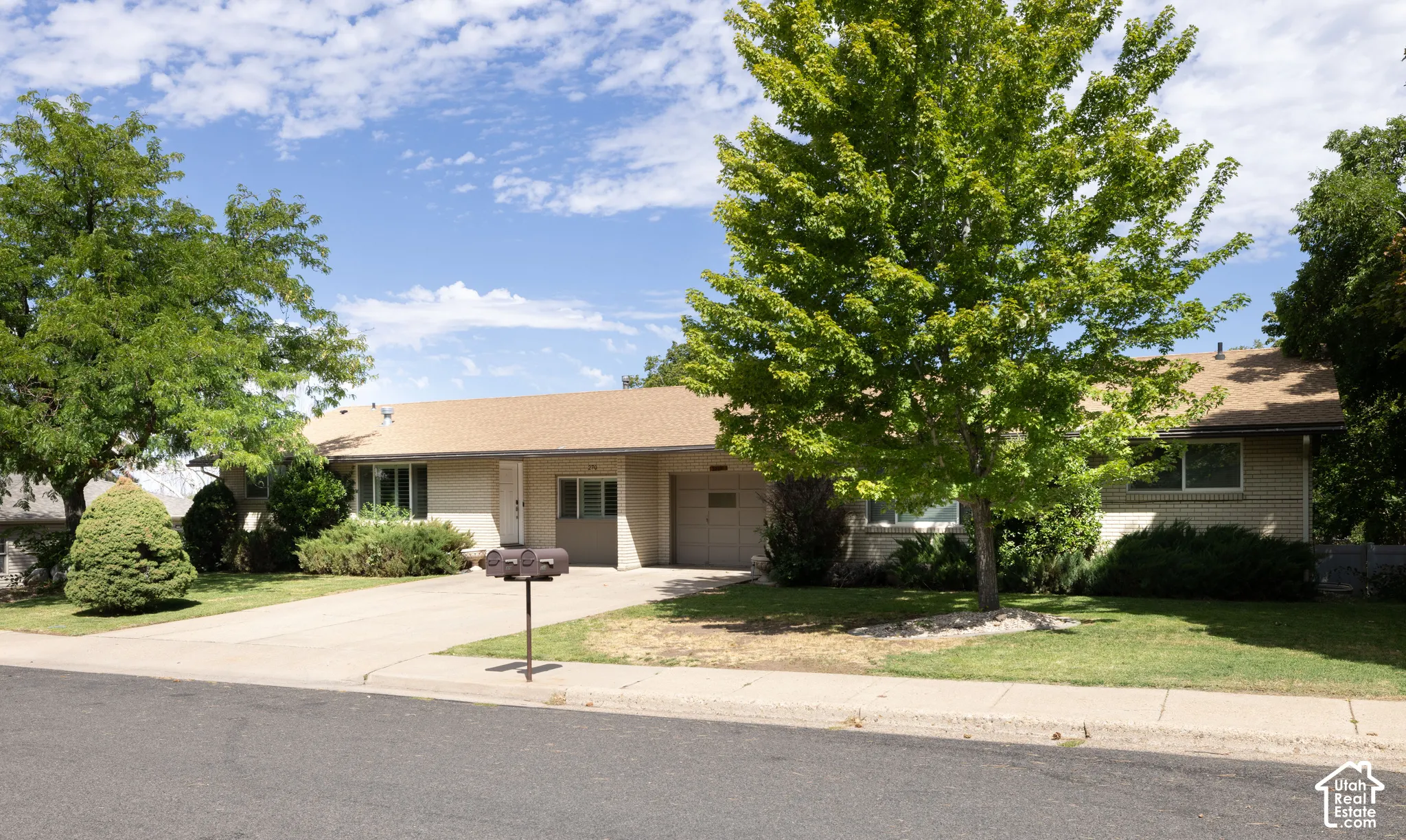 Single-story residence featuring a concrete driveway, attached garage, and mature landscaping