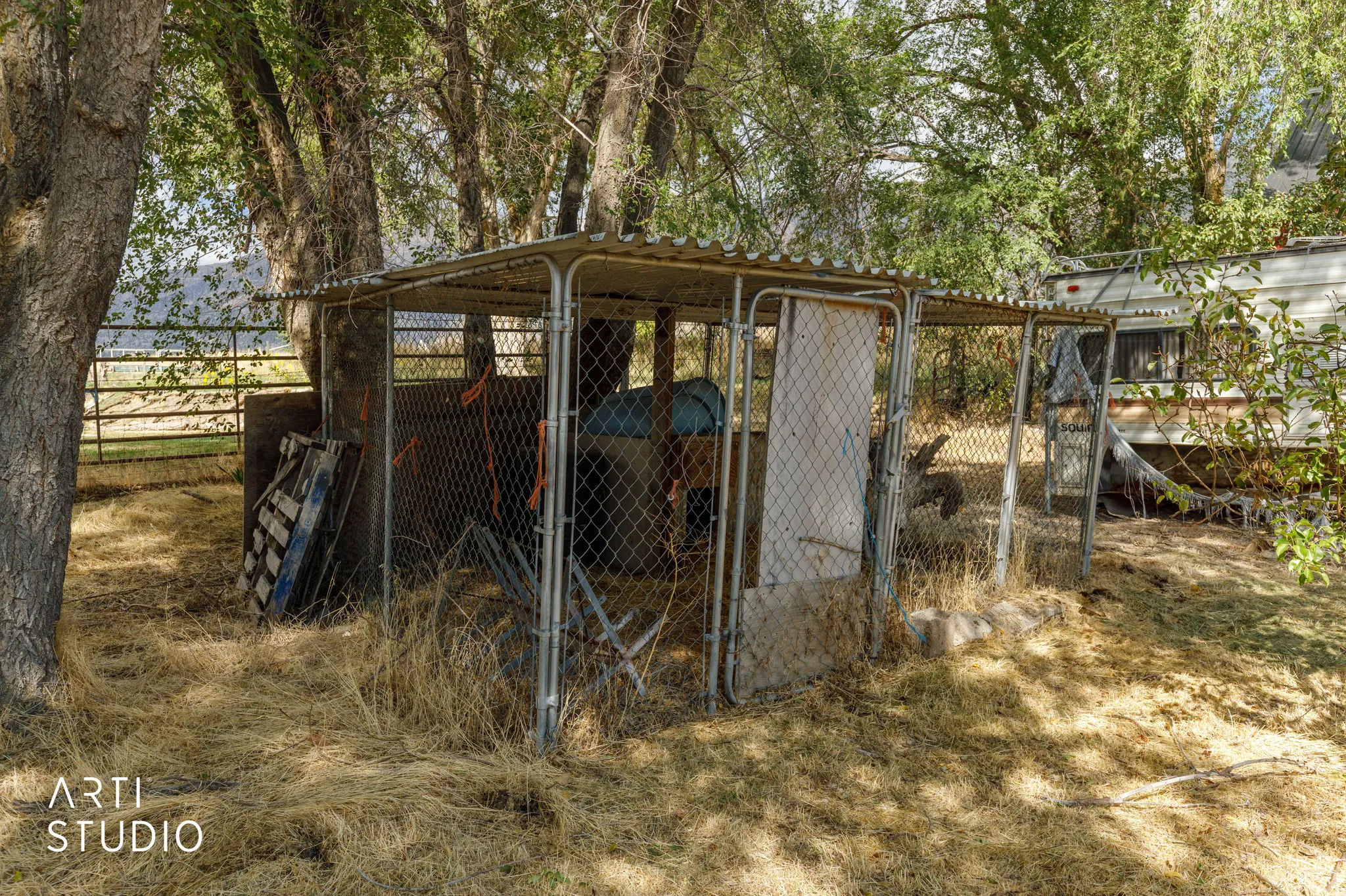 Dog Kennel