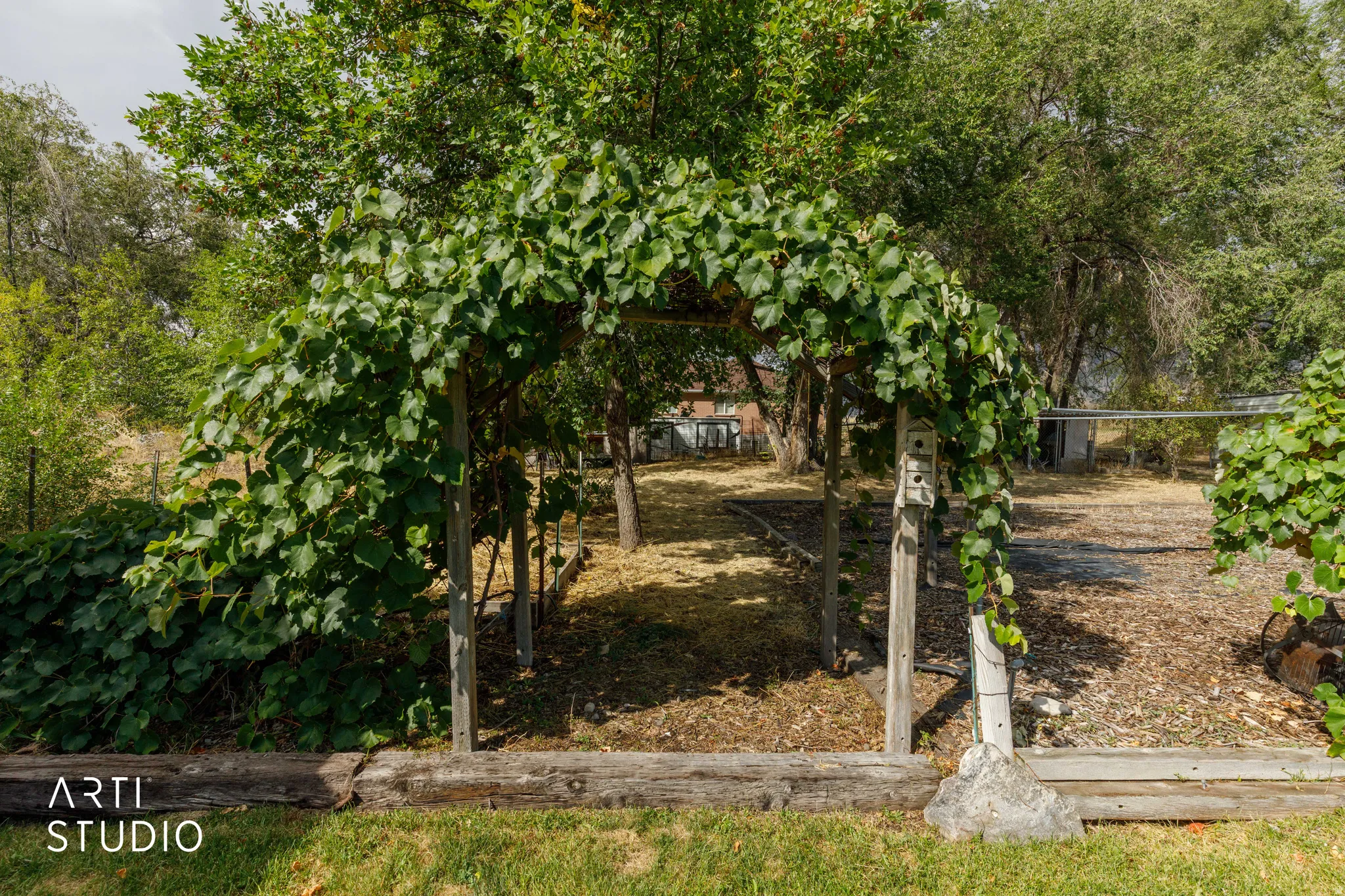 Gated entry featuring a vine-covered archway, fruit  trees, and natural landscaping