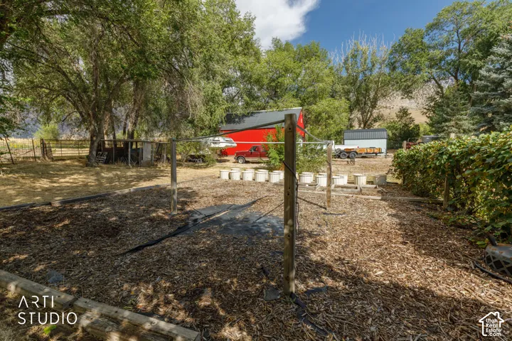 Expansive garden area