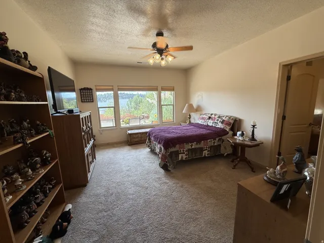 Carpeted room with a ceiling fan, multiple windows, and a built-in shelving unit