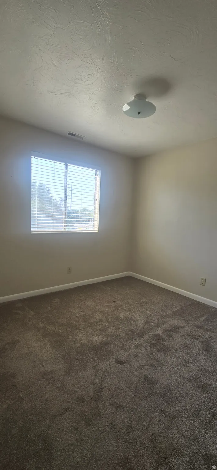 Neutral-toned wall-to-wall carpeting, window with horizontal blinds, and a flush-mount ceiling light fixture