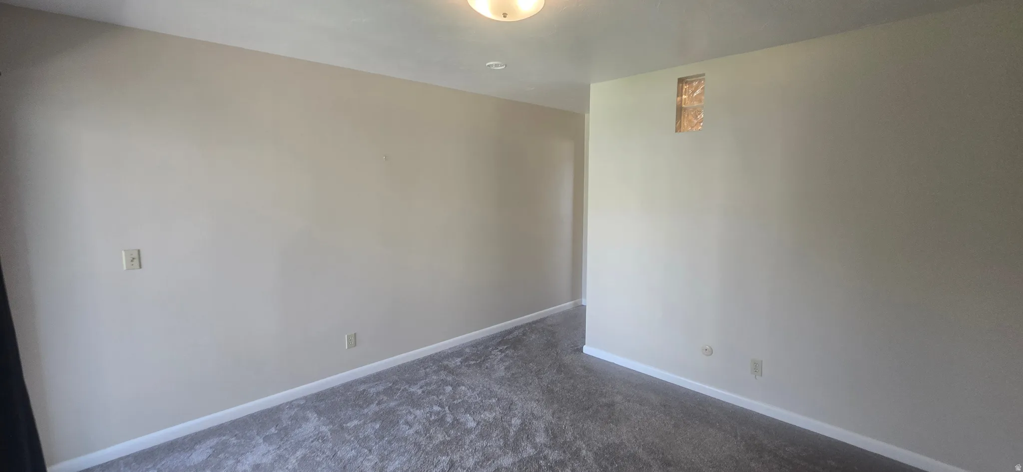 Textured carpeting with light neutral wall tones, featuring a flush-mount ceiling light