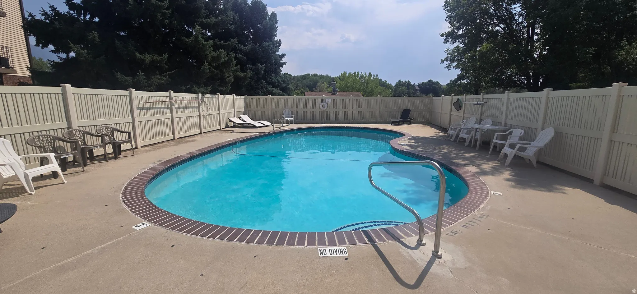 Kidney-shaped swimming pool with concrete decking, surrounded by a light-colored privacy fence