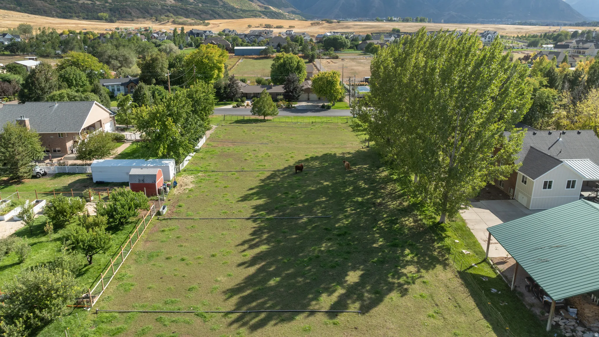 Expansive grass lot with mature trees, mountain backdrop, and multiple outbuildings