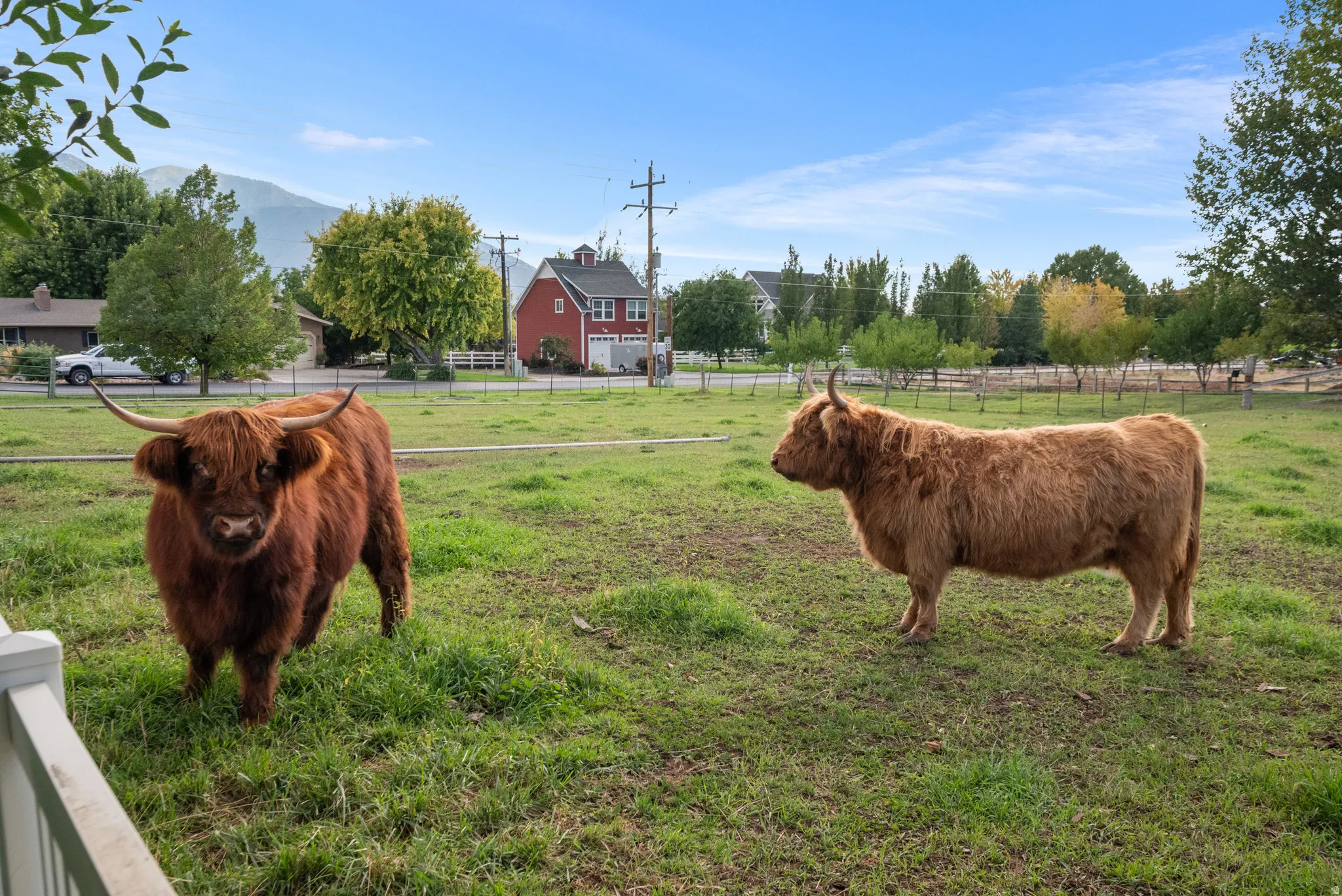 Expansive green pasture with a white fence border