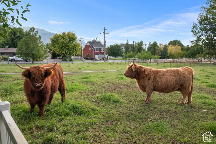 Expansive green pasture with a white fence border