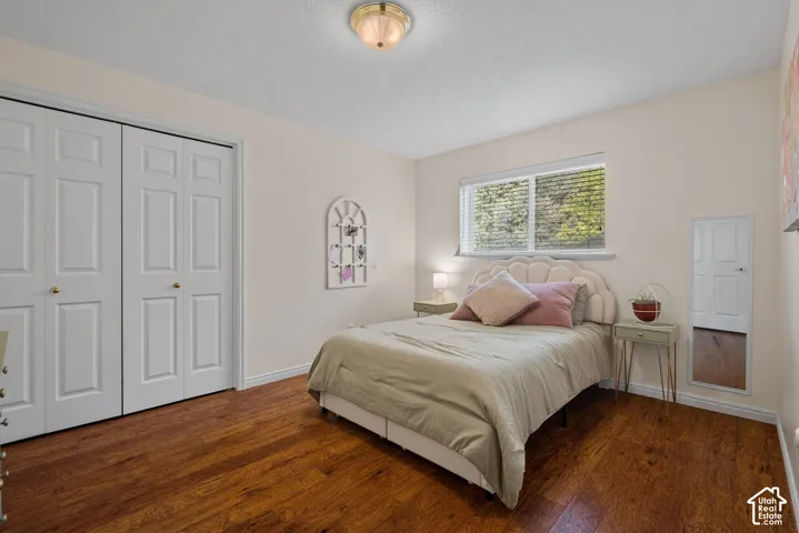Wood-finish flooring, white bi-fold closet doors, wall-mounted light fixture, white interior walls, and a window with blinds