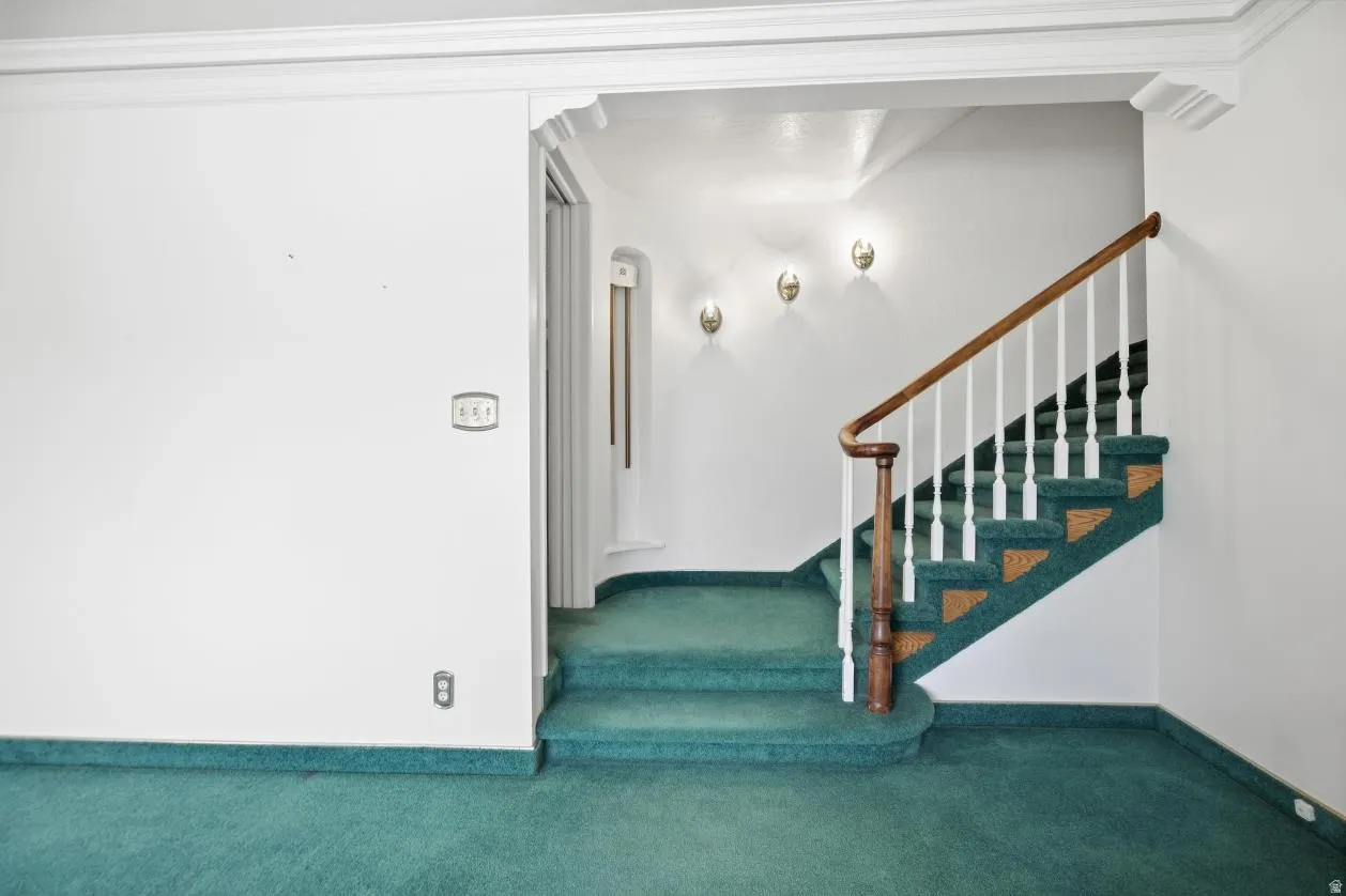 Staircase with wood-finish handrail, white balusters, and green carpeted treads