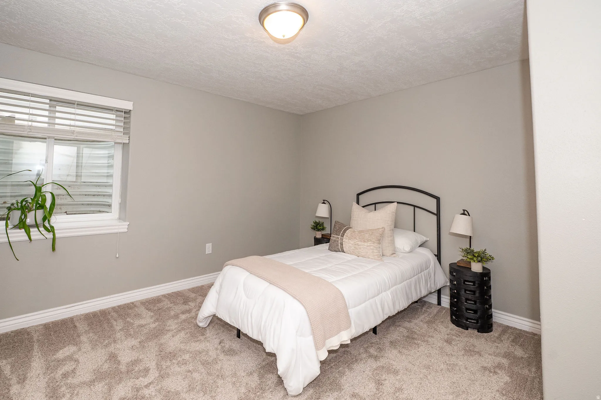 Window with blinds, wall-to-wall carpeting, and a ceiling-mounted light fixture