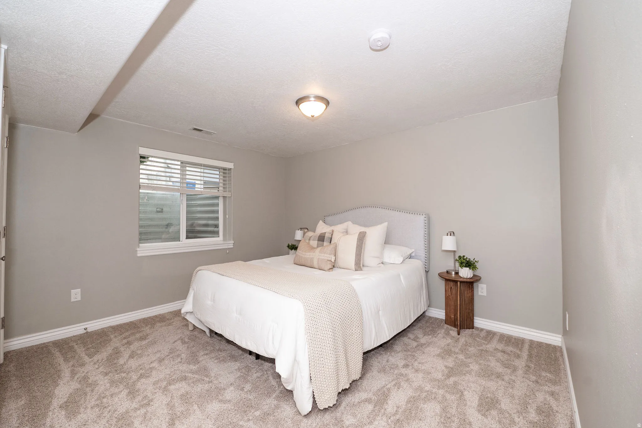 Plush carpeting, recessed window with blinds, surface-mounted ceiling light fixture, and neutral wall tones