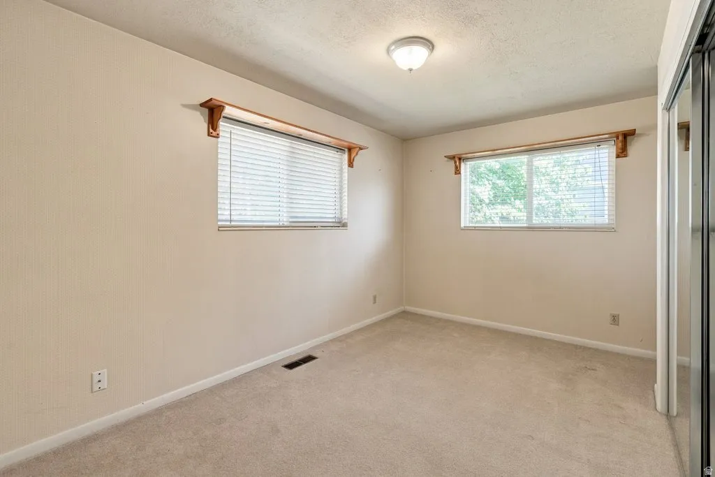 Carpeted interior with two windows, a ceiling-mounted light fixture, and mirrored closet doors