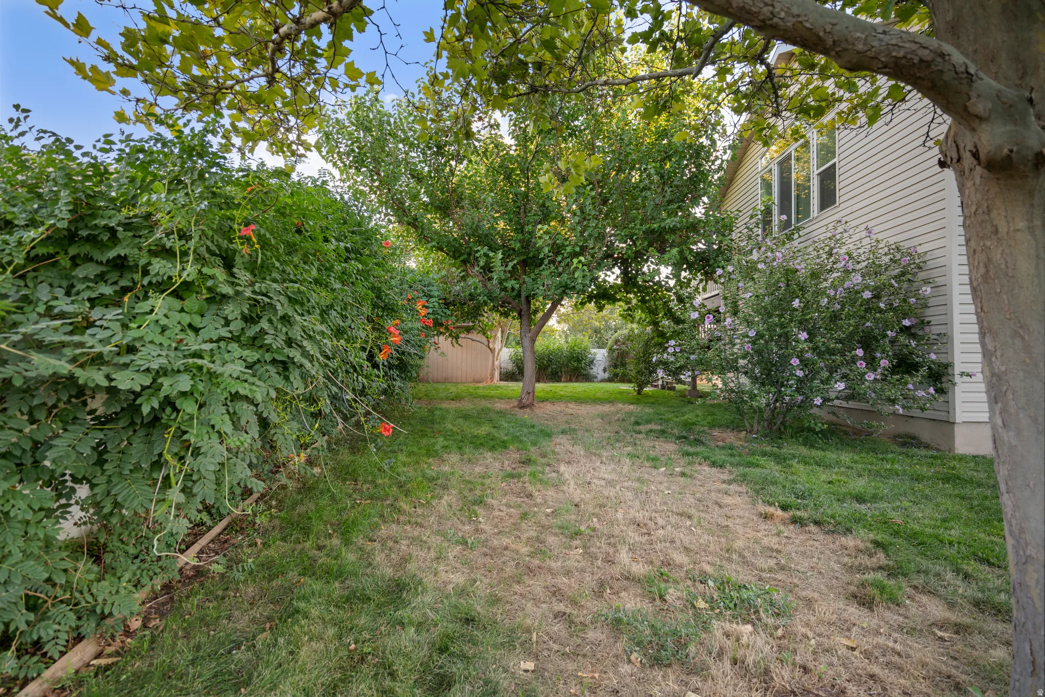 Mature trees provide natural shade
