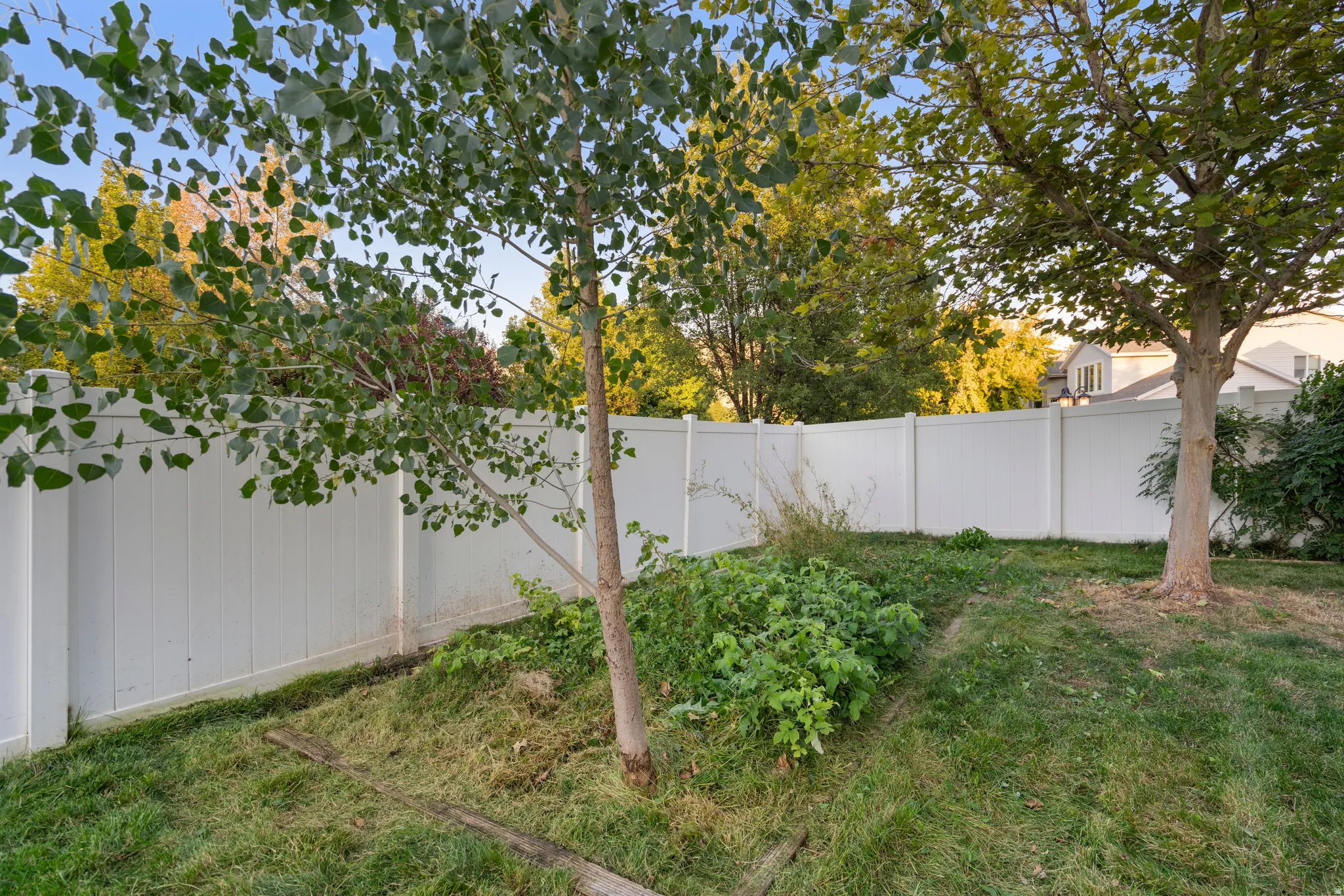 Expansive backyard featuring a white privacy fence, mature trees, and natural landscaping