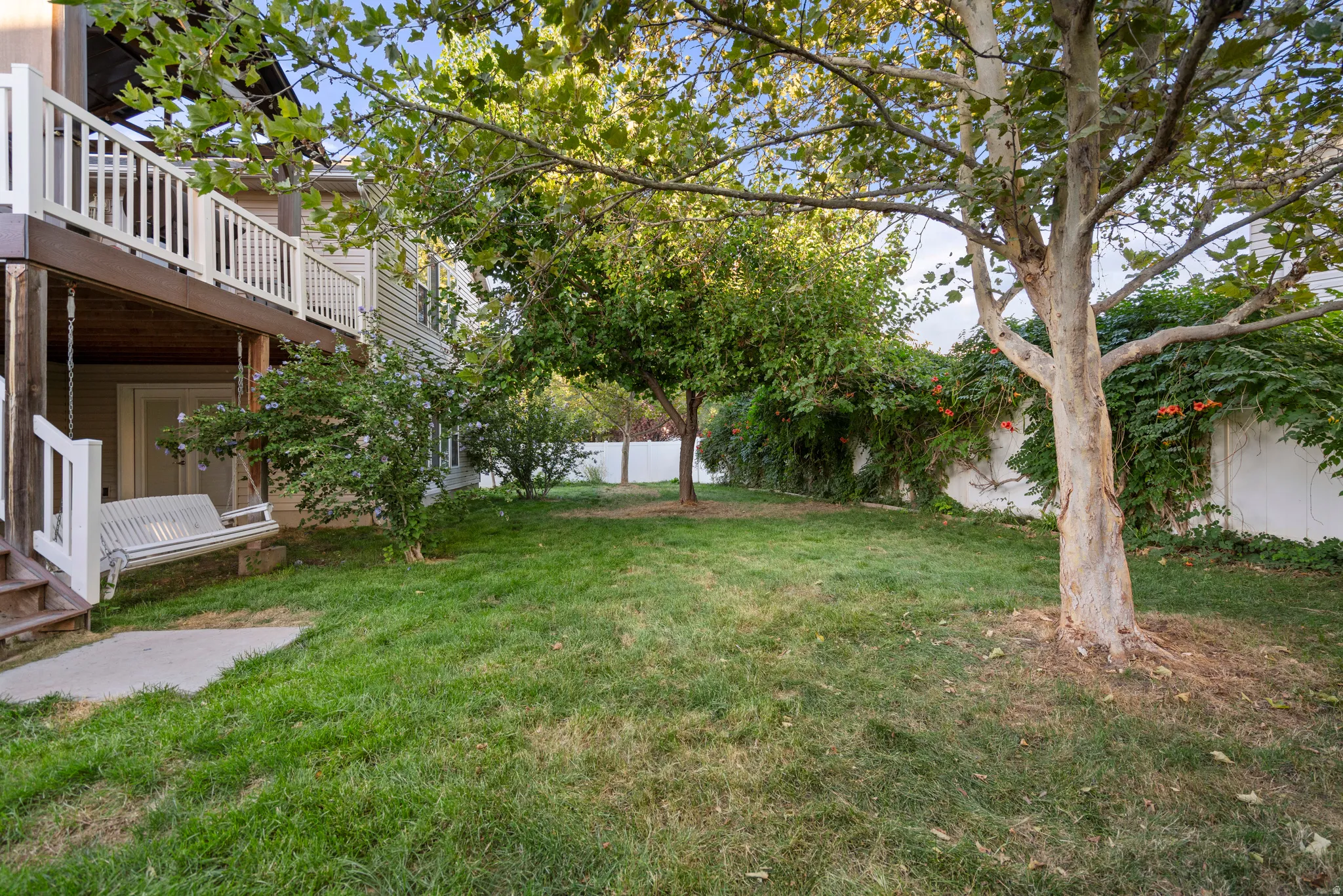 Expansive outdoor space featuring a mature tree, established landscaping, and a white privacy fence