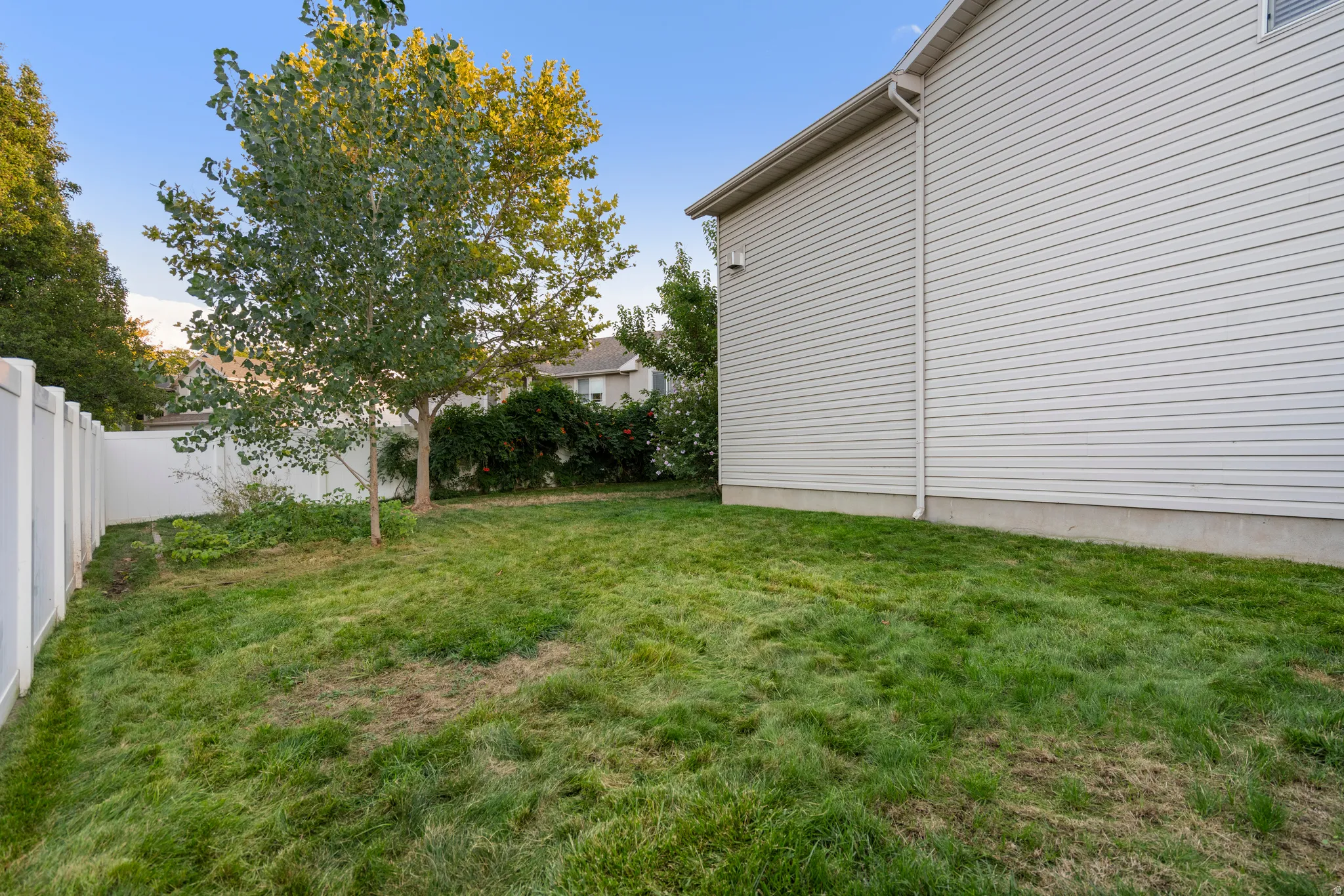 Expansive grassy yard with mature trees and privacy fencing