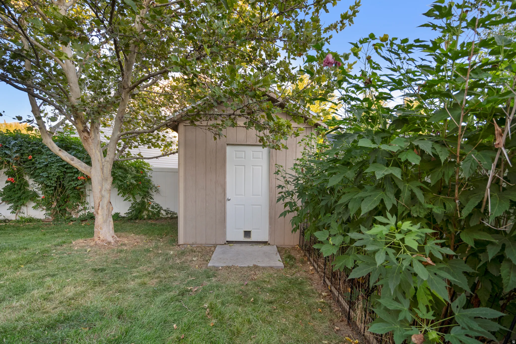 Detached storage shed with a panel siding exterior and a white paneled door