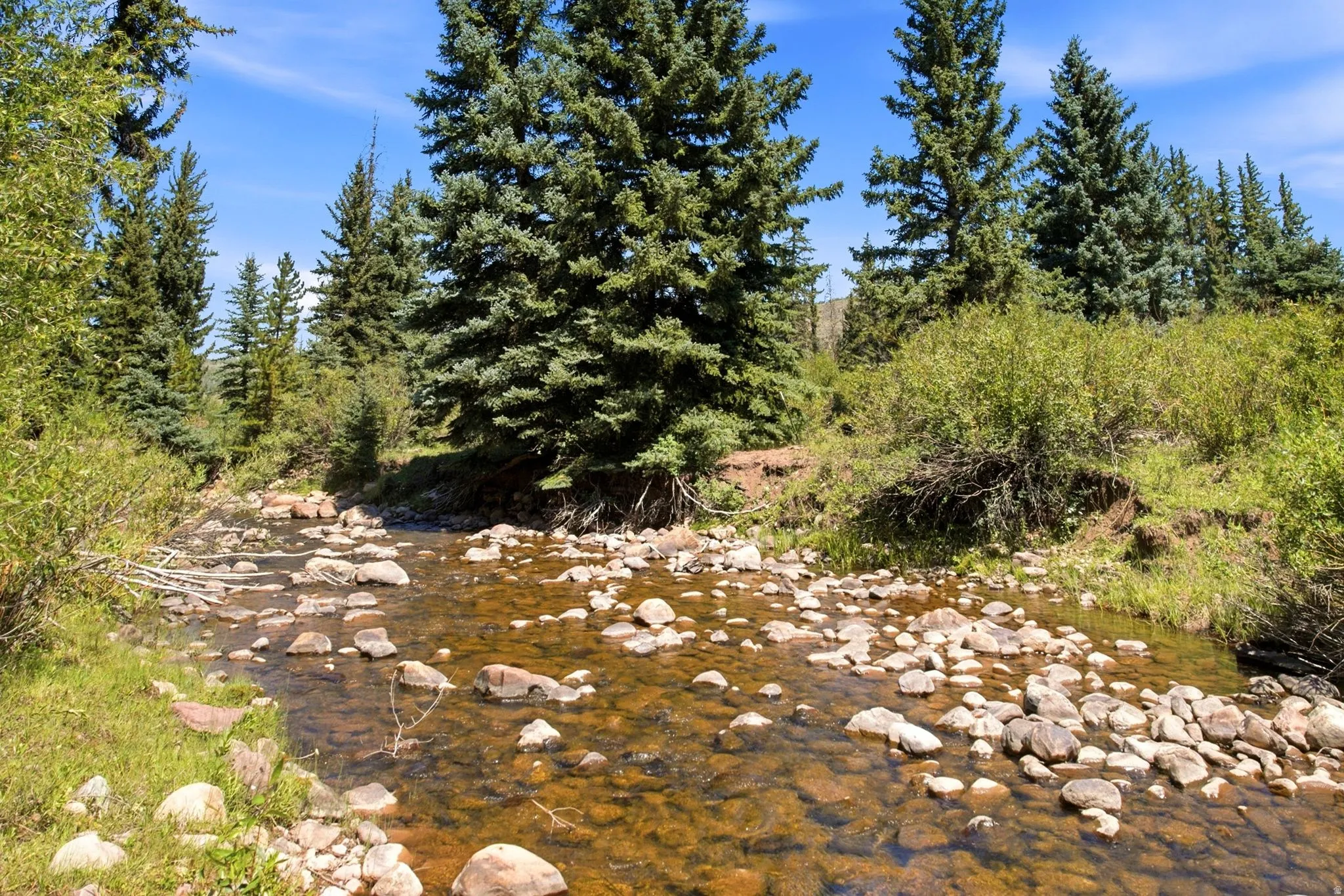 Rocky stream featuring clear water, bordered by lush green foliage and mature evergreen trees