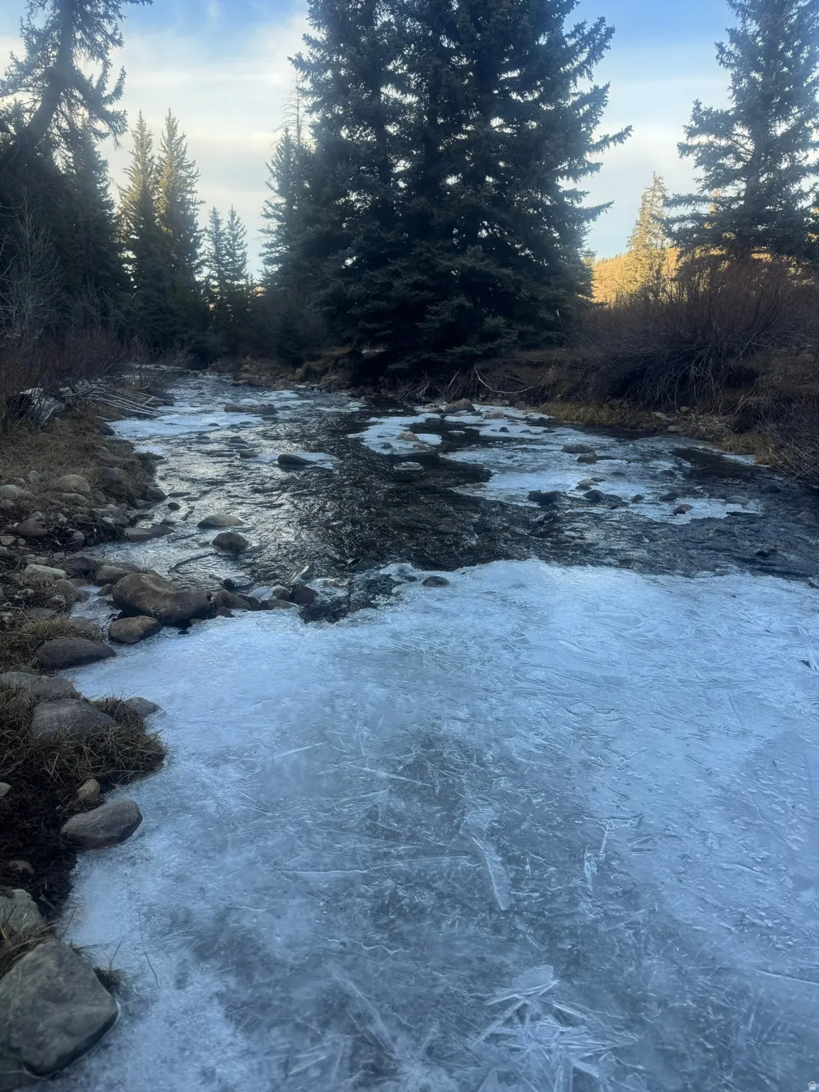 Natural water feature with ice formations, bordered by mature evergreen trees and natural rock elements