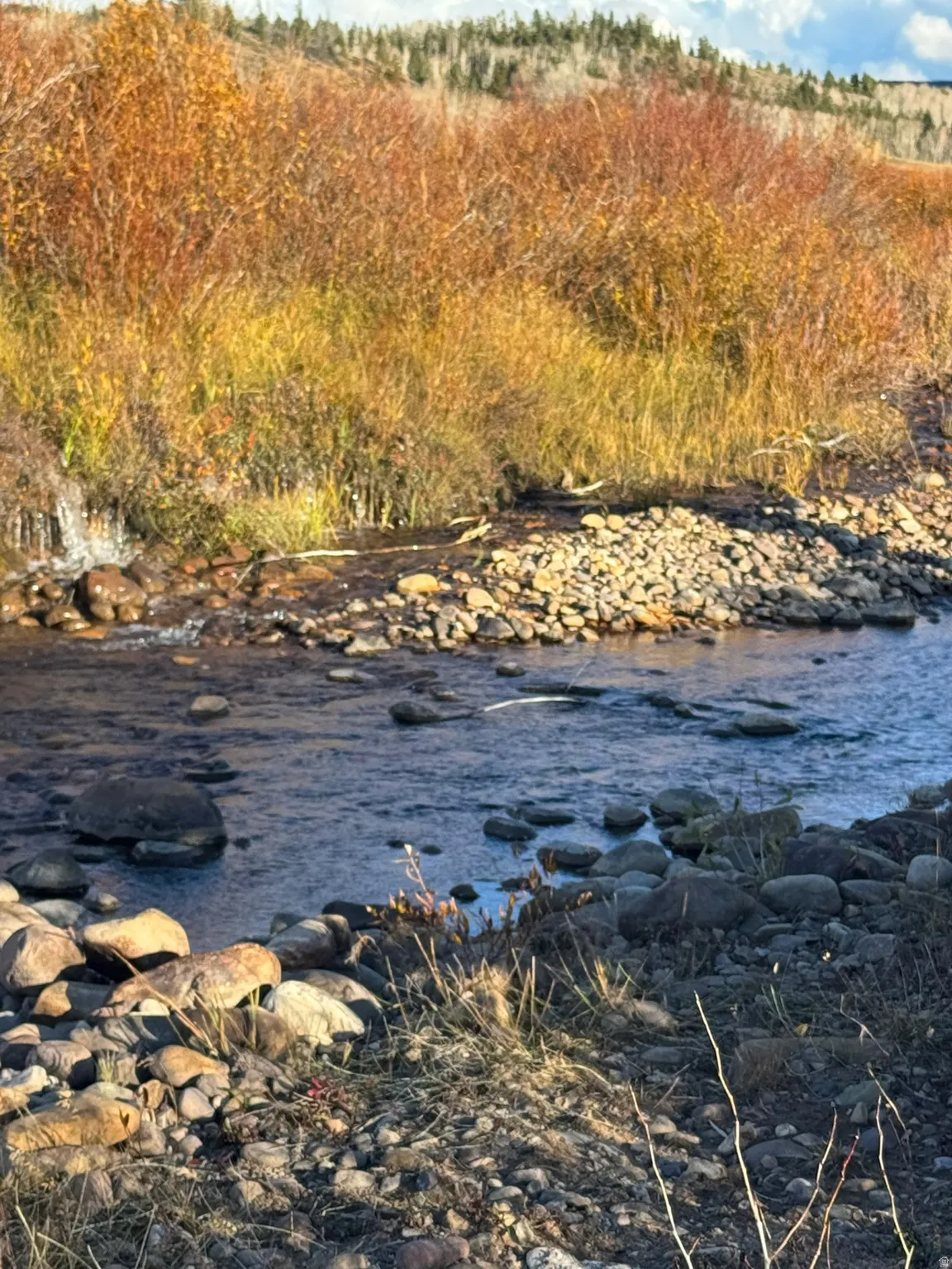 Rocky stream featuring clear water, surrounding autumnal foliage, and distant evergreen trees