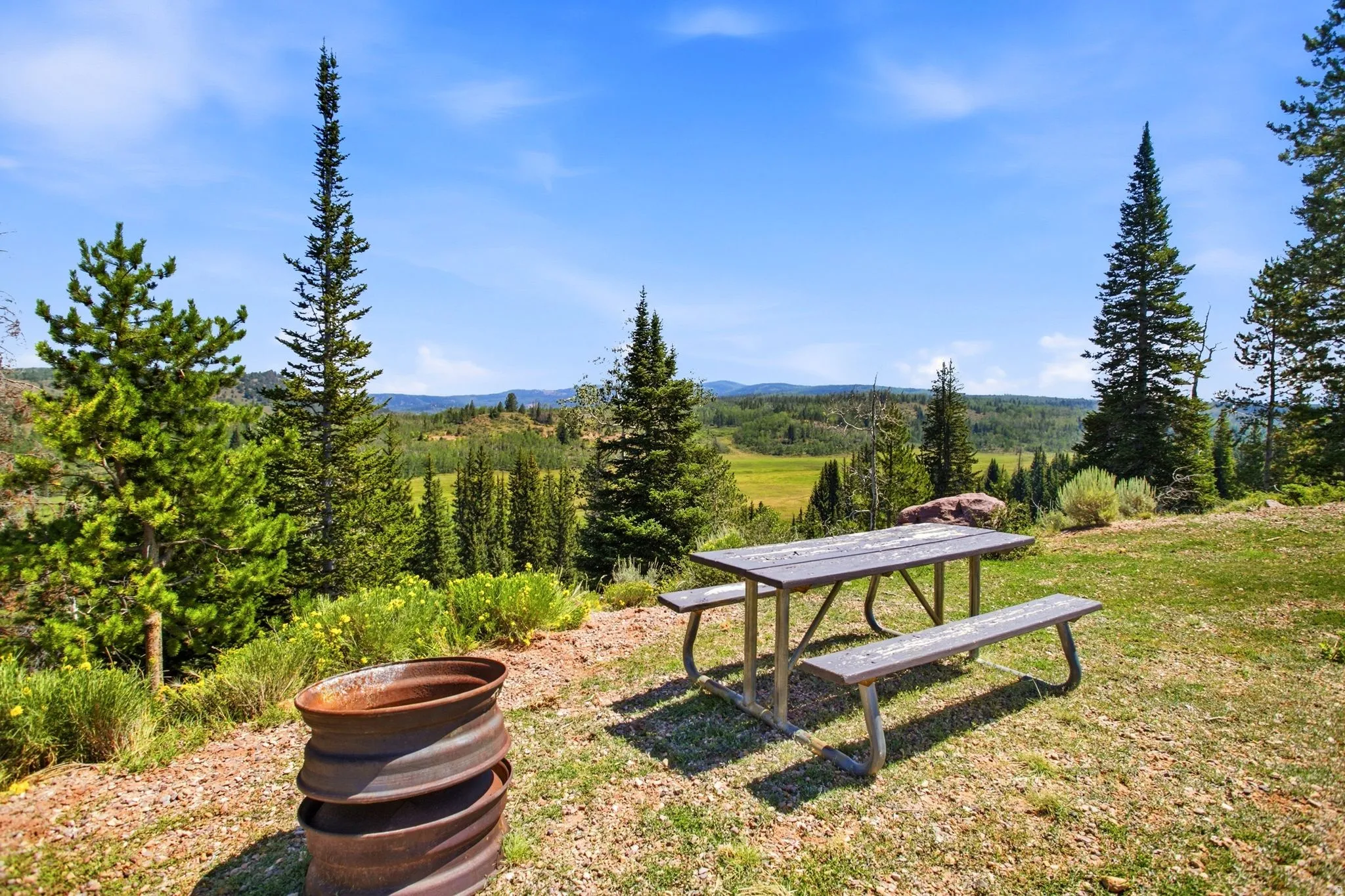 Expansive outdoor space featuring a picnic table, natural ground cover, and surrounding evergreen trees