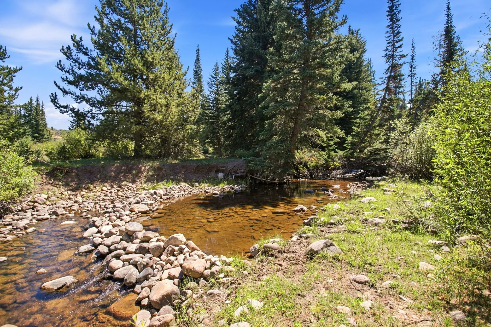 Natural water feature with a stone-lined bank, surrounded by mature evergreen trees and natural ground cover