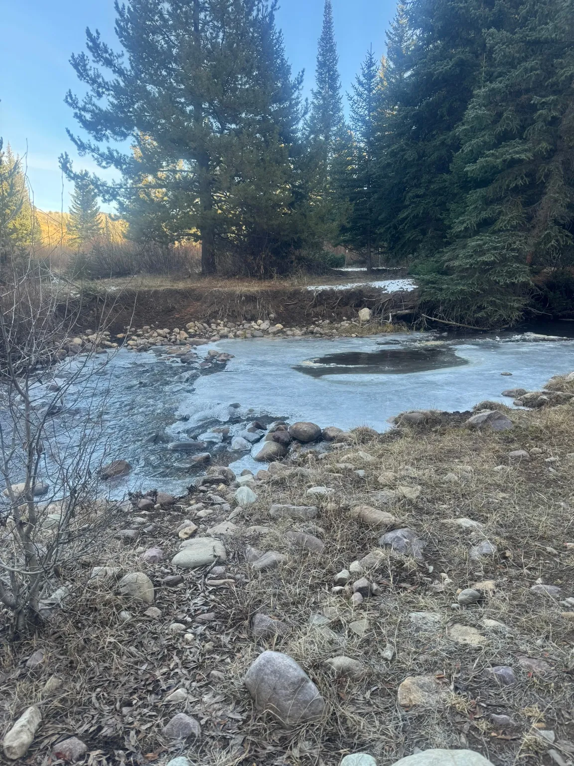 Waterfront property featuring a stream with partial ice cover, a rocky bank, and mature evergreen trees