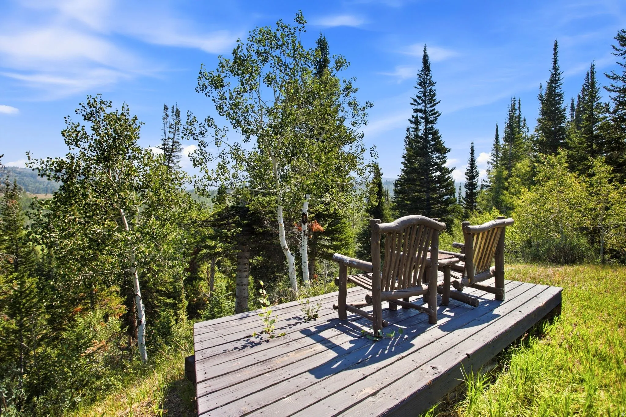 Elevated wood deck surrounded by mature trees and natural landscaping
